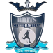 brits soccer academy